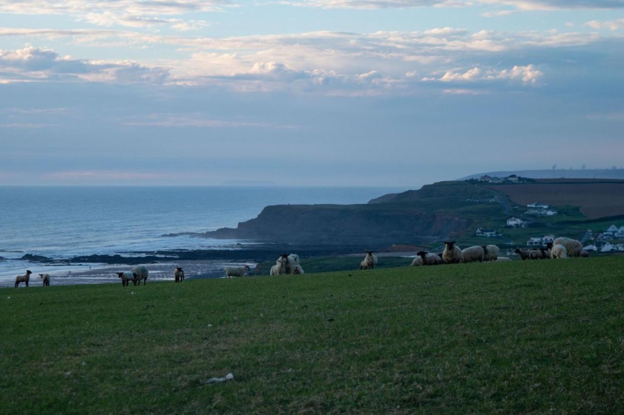 Chalet 18 Widemouth Bay Holiday Village Бюд Екстериор снимка
